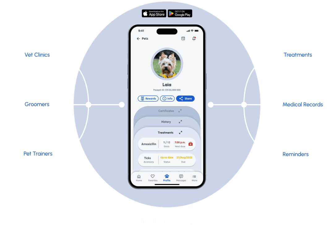 PASAPET app