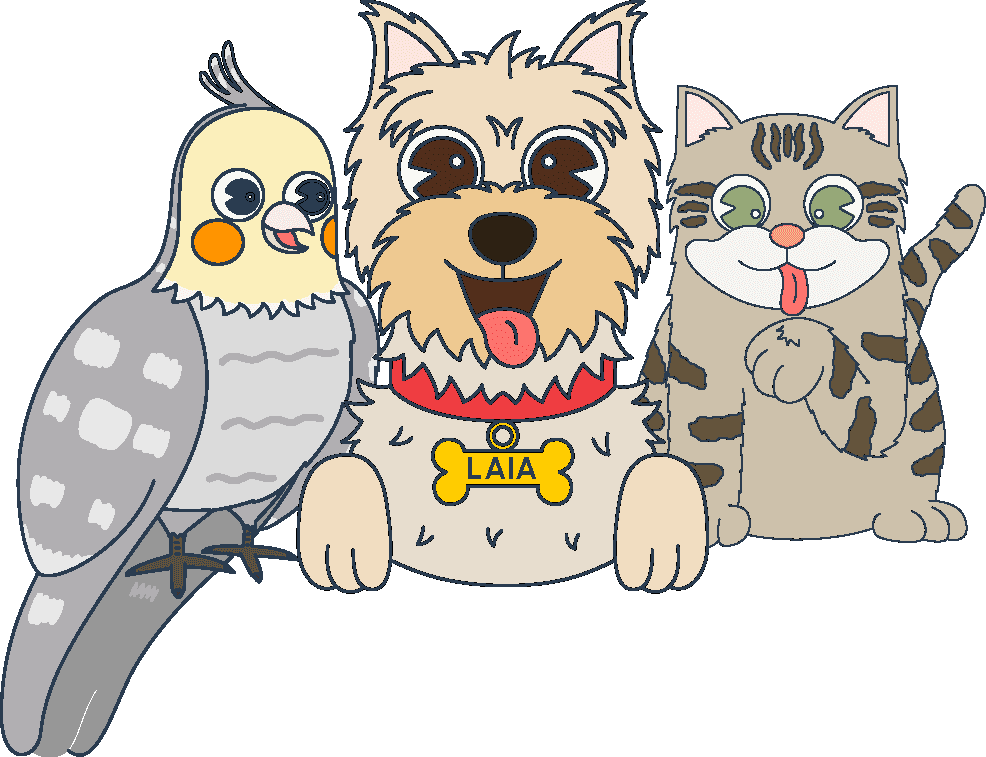 Illustration: cockatiel, dog, and cat